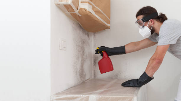 Professional Mold Remediation technician working in Garden City Park, NY